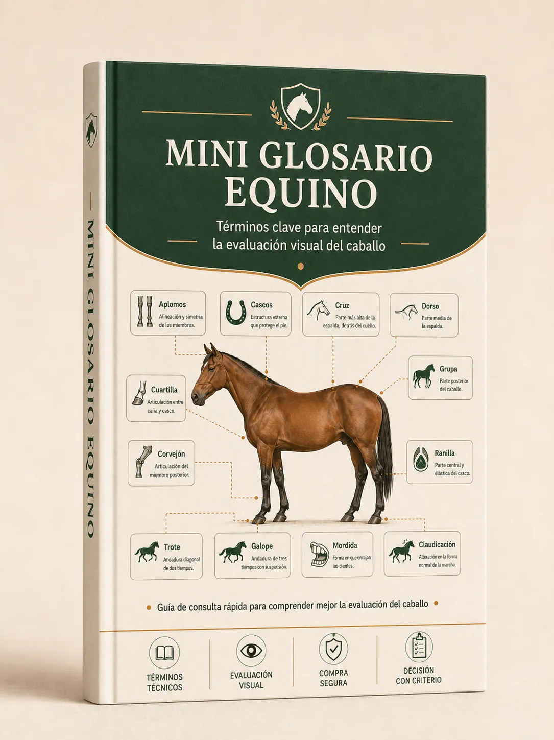 Mini Glosario Equino