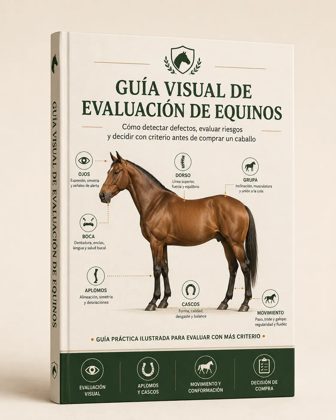 Portada de la Guía Visual de Evaluación de Equinos