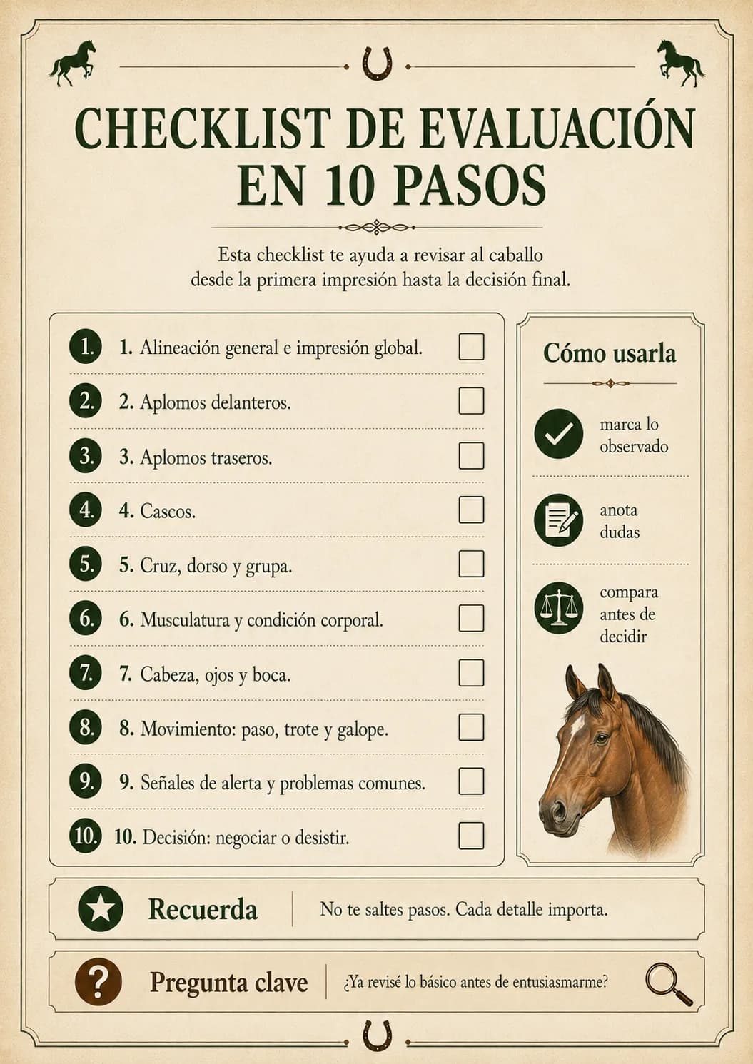 Guía Visual de Evaluación de Equinos — Checklist de evaluación en 10 pasos